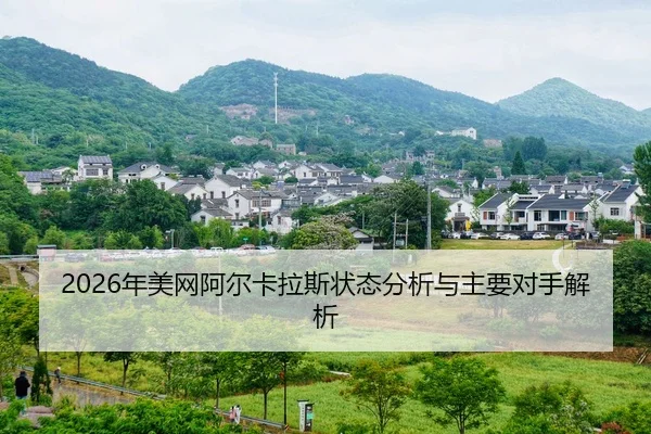 nian-mei-wang-a-er-ka-la-si-zhuang-tai-fen-xi-yu-zhu-yao-dui-shou-jie-xi-2-403.jpg
