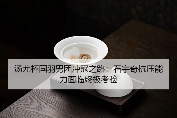 tang-you-bei-guo-yu-nan-tuan-chong-guan-zhi-lu-shi-yu-qi-kang-ya-neng-li-mian-lin-zhong-ji-kao-yan-3-377.jpg