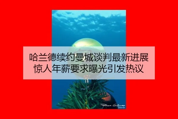ha-lan-de-xu-yue-man-cheng-tan-pan-zui-xin-jin-zhan-jing-ren-nian-xin-yao-qiu-bao-guang-yin-fa-re-yi-2-262.jpg