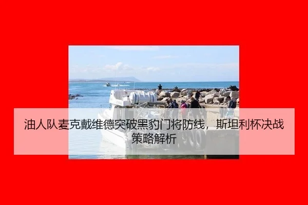 油人队麦克戴维德突破黑豹门将防线，斯坦利杯决战策略解析